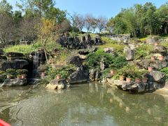 -秀丽东方