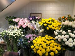 -植物学家的女儿(北马道巷店)