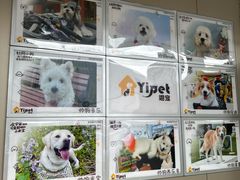 -翊宠yipet猫狗购宠庄园犬舍•猫舍