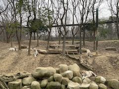 -常州淹城野生动物世界