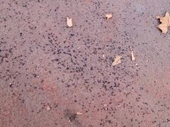-西安交通大学(雁塔校区)