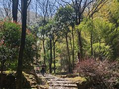 -仙霞关景区