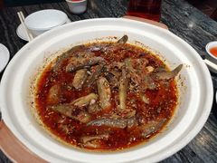 -情妹耙泥鳅·江湖川菜(科华店)