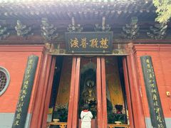 -洛阳白马寺