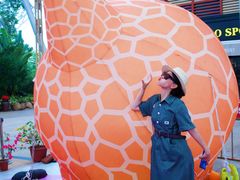 -三亚海昌梦幻海洋不夜城