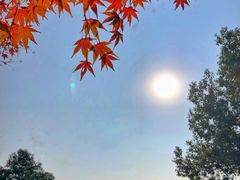 -杭州城北体育公园