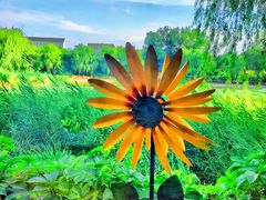 -三忘湖 SWANSEEN(柳荫公园店)