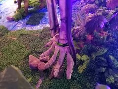 -诸城市恐龙博物馆
