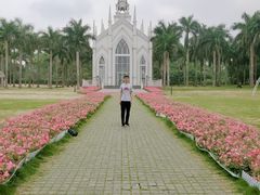 -南宁花花大世界景区