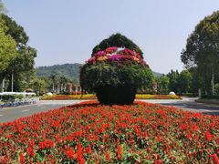 -东南花都花博园