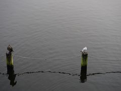 -海德公园