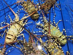 -三亚火车头万人海鲜广场