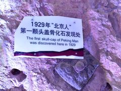 -周口店北京人遗址公园