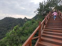-大岭沟猕猴桃谷风景区