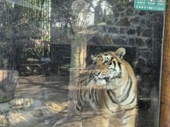 -海南热带野生动植物园