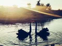 -亿利库布其七星湖沙漠生态旅游区