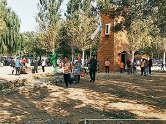 -长白岛森林公园