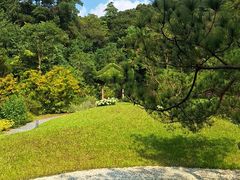 -云溪植物园