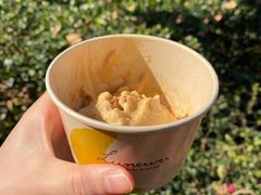 焦糖海盐饼干-LUNEURS月乐诗 冰淇淋咖啡(环贸店)