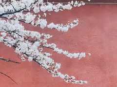 -浙江省杭州高级中学(贡院校区)