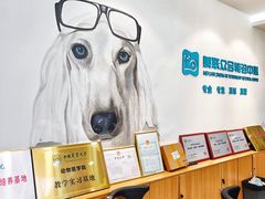 -美联众合动物医院·24h转诊中心