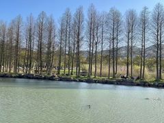 -东钱湖旅游度假区