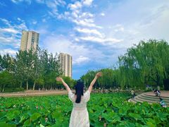 -南翠屏公园