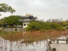 -江心屿景区
