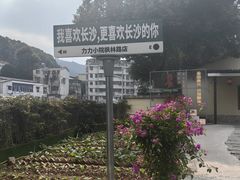 -湘力力小院·鱼汤泡饭(枫林路店)