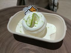 -狐狸和向日葵(北京路店)