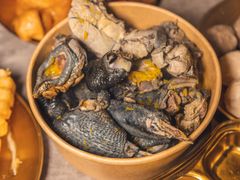 -Darling Queen·Mini·Live·House