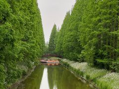 -黄海国家森林公园