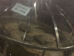 -陆地游轮吉林神农温泉