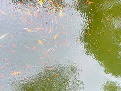 -上海财经大学(国定路校区)