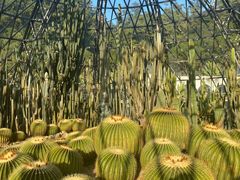 -深圳仙湖植物园