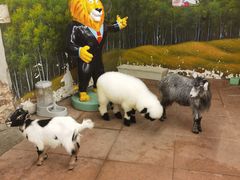 -正佳雨林生态植物园