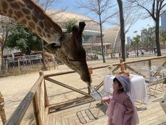 -灵玲国际马戏城