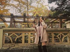 -八大关景区