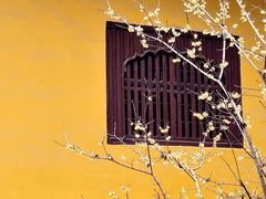 -西园戒幢律寺