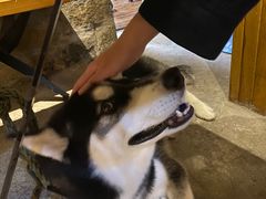 -石头会唱歌融来+北港岚台两岸交流中心