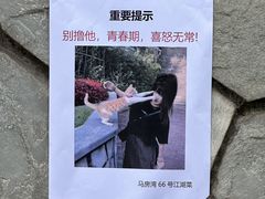 -马房湾66号·江湖菜