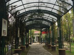 -老磨油饼(高陵店)