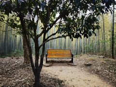 -咸宁万豪温泉谷度假区