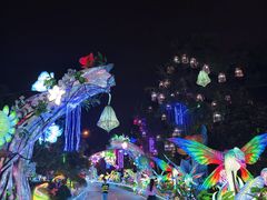 -洋湖国家湿地公园