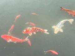 -雅达·阳羡溪山小镇中心