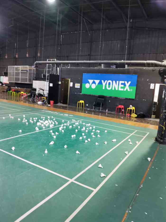 尤尼克斯羽毛球主题馆