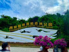 -西双版纳原始森林公园