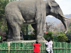 -栾川竹海野生动物园