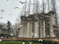 -灵谷景区