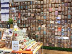 -猫的天空之城概念书店(苏州平江店)